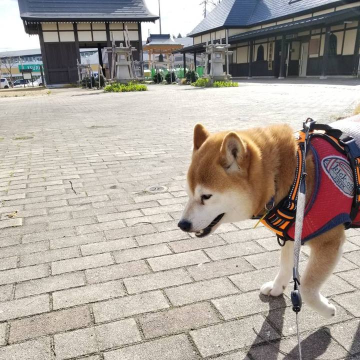 A71cf986 7194 4b63 888d 2949b546c863 1583908234319