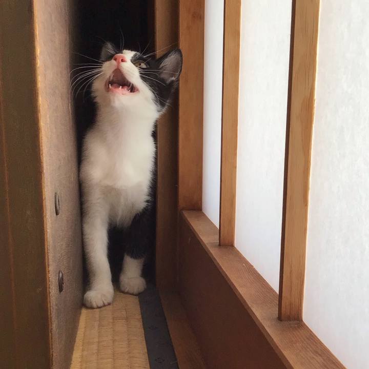 A71d06f5 340d 48fb 93a2 892c9bc3aa35 1626760854878