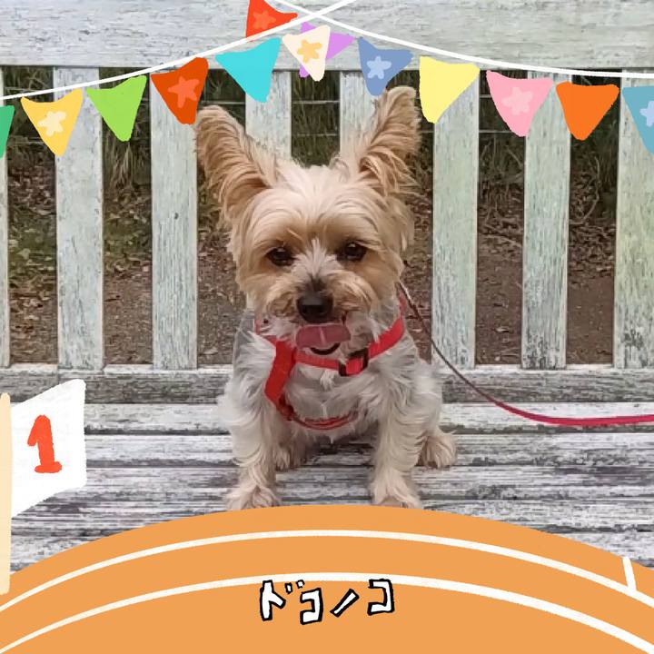 A71d38e1 72b7 409b aa5d e6f1c8be14f9 1761200347240