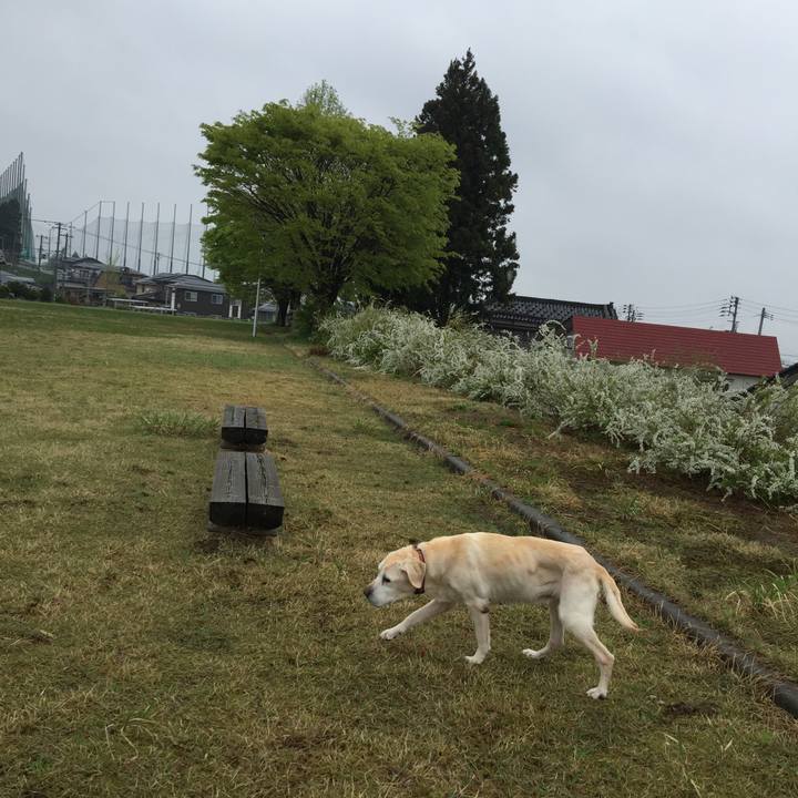 A71d5a9c a7c6 45de 83bb 7dc8d02a4b97 1524550221121