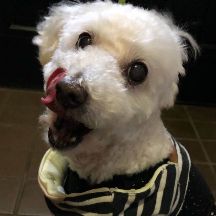 A71d9334 8fc8 4e6a bd78 b57443680e56 1542756953711