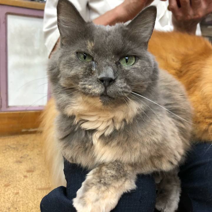 A71d9b5f 1025 44ed a0ab 9dfa96df26fd 1645484885017