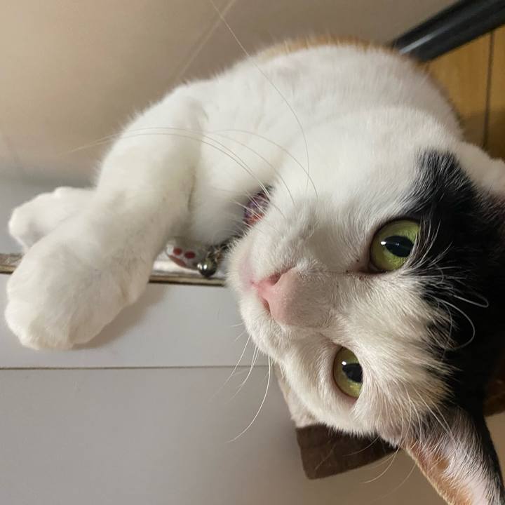 A71d9bd8 2ac3 46ab b3c1 dff584d639fe 1743204018163