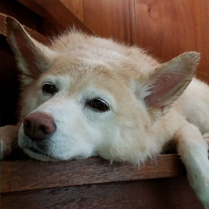 A71dd582 bf2b 4c42 9073 9781ac7cd011 1570609966560