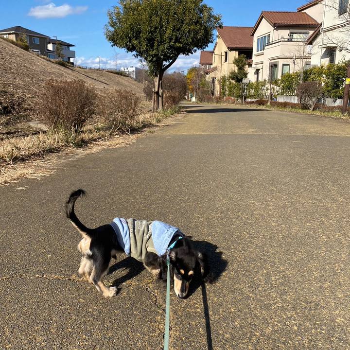 A71dda9c 6152 4069 aac0 f526dd573753 1672637669000