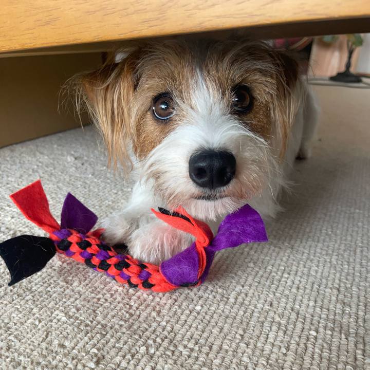 A71e01e3 7de6 4395 b35e ed632b27dbab 1759833270283