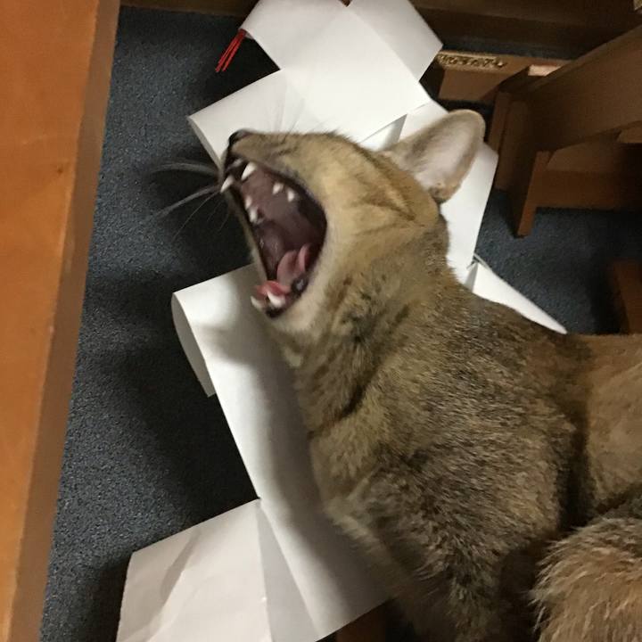 A71e5ac9 8c3f 4bdb 8460 c15f1dd62bc2 1573546516262