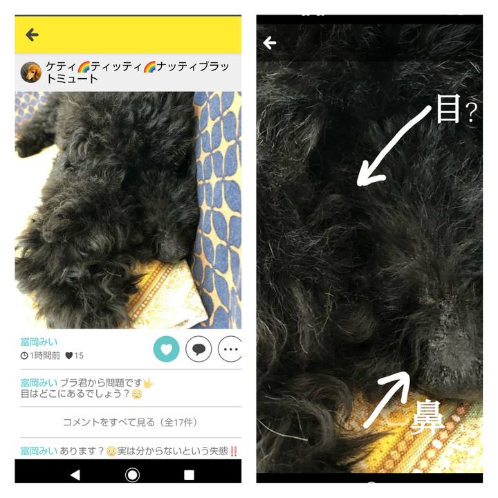 A71e68e5 b896 4e88 ae64 31753272e947 1599362022686