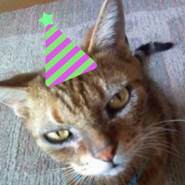 A71e7d37 4884 4162 989b 4194a6650b49 1766408400695