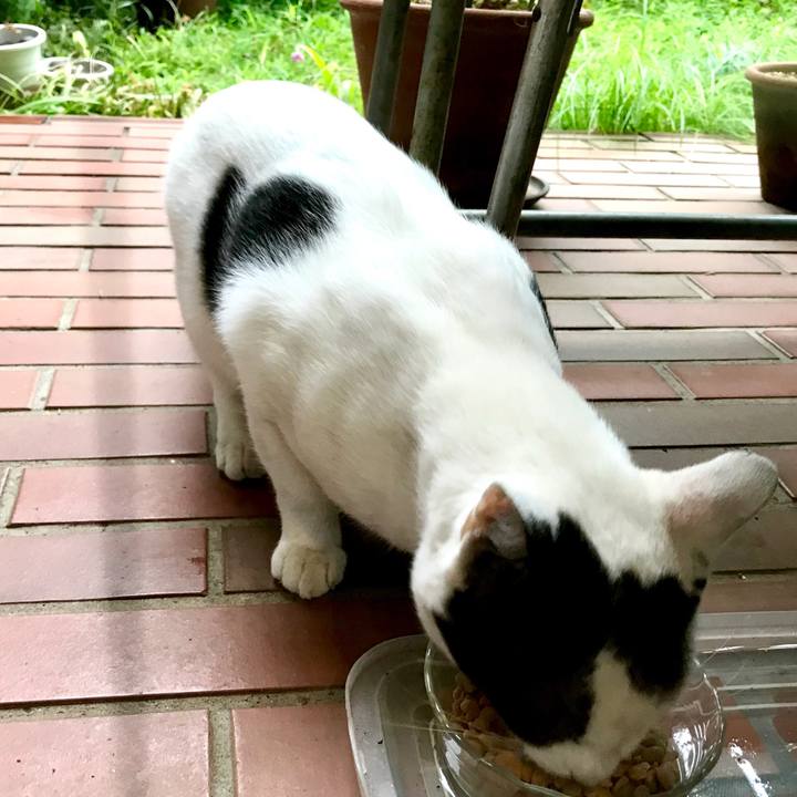 A71ec2da 740b 4944 b104 71523c8cbdc3 1530782343588