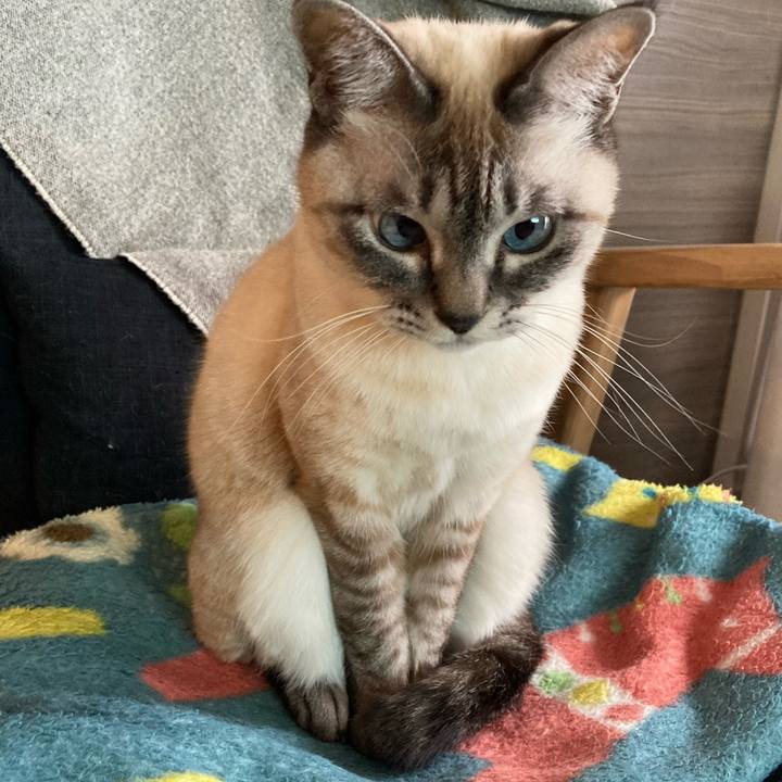 A71eeaeb d743 4faf a0dc a3ee6fdac42a 1737768219076