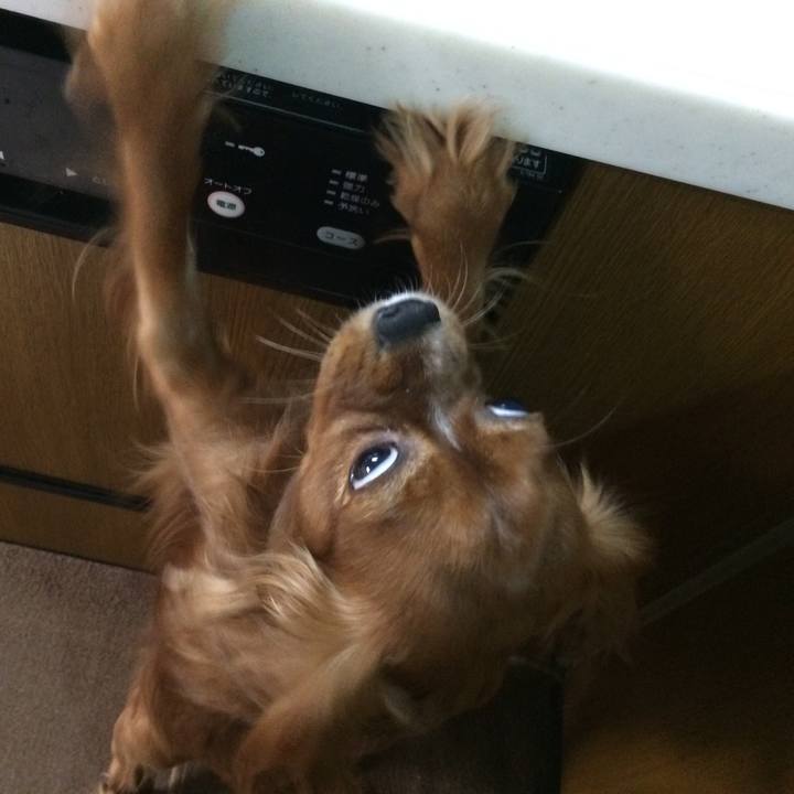 A71efd9b 0007 4f48 9a40 998890b0792e 1515881909251