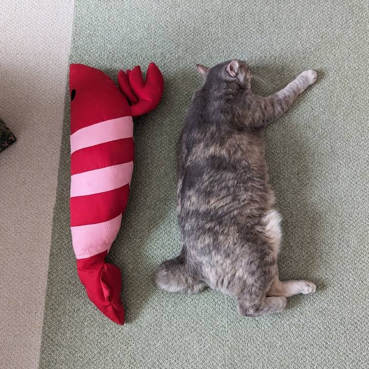 A71f09d8 1498 4c12 974b 88172ef36892 1710215181702