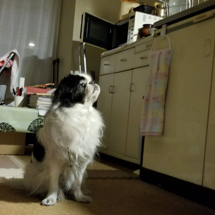 A71f12d1 00f7 47fa bf4d 44e7d752a0ed 1513852830234