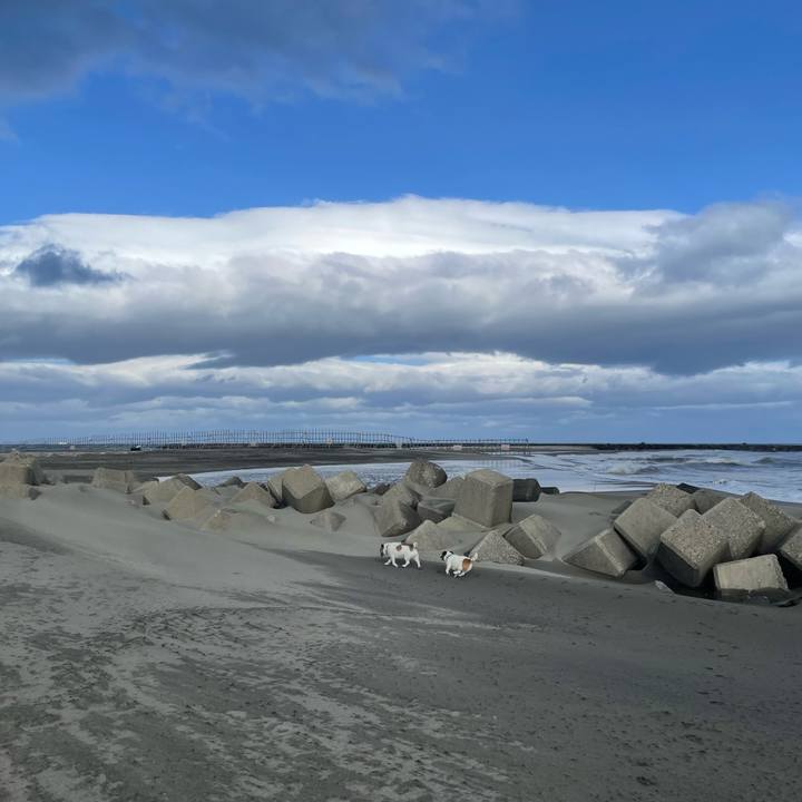 A71f2060 b84c 414d 8615 cdbb007920e3 1745972582965