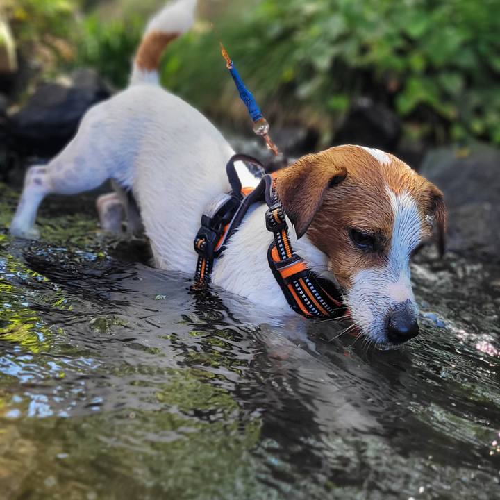 A71f2e59 d0c6 4a3a 86ef bcdc99aa4469 1658724966714