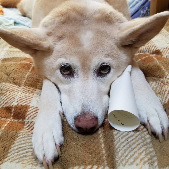 A71f31ad 72a9 47fc a8bb 55fd89c6db2d 1562725993962