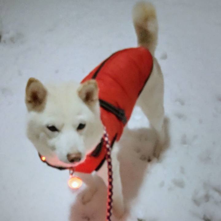 A71f453e 2405 4064 82a8 eeea9bcf2859 1643808015125