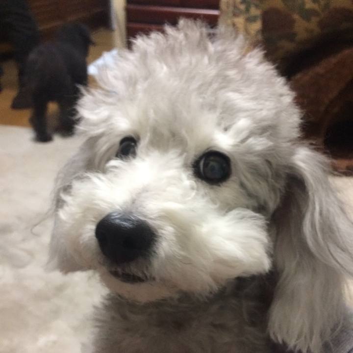 A71f50d4 0fd4 4e67 a3c6 3a6f3ceedc07 1518737741937