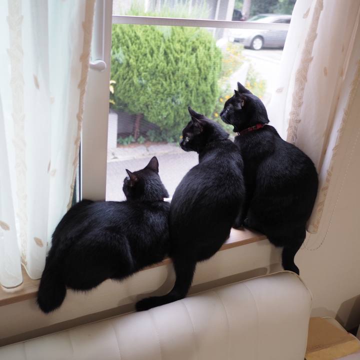 A71f905e 3bb4 426f a524 9748a76198f6 1535412664252