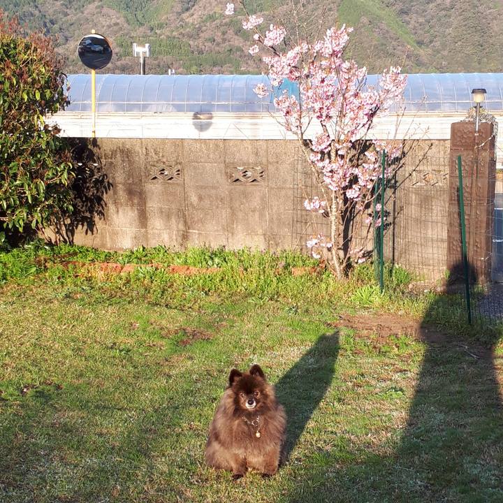 A71fd85b d693 4249 8331 28b05634803c 1521842129178