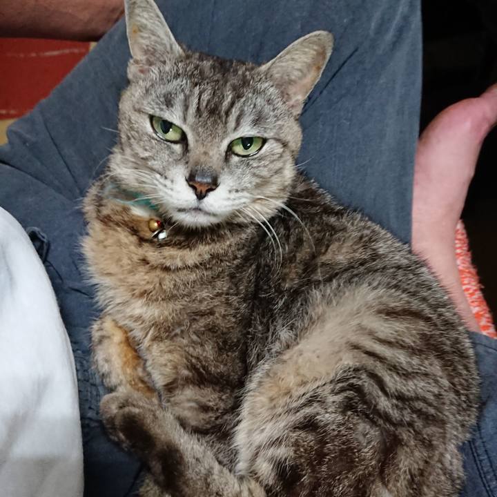 A71ff150 00a0 4f17 b4a7 7e9d2579c396 1561632781162