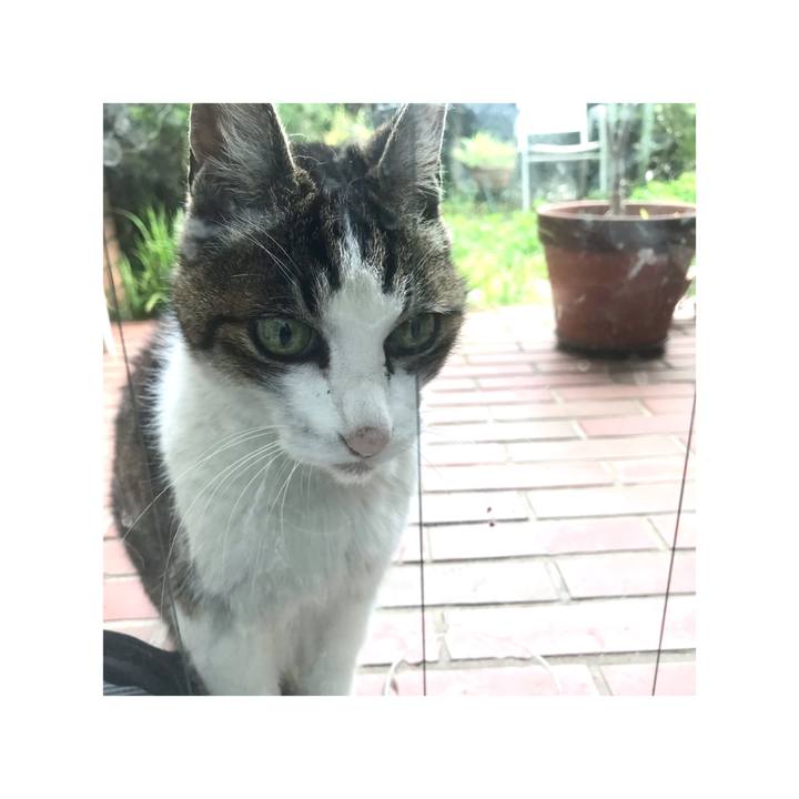 A72012f1 d23e 409a 8b94 0c27052abdf3 1650882438363