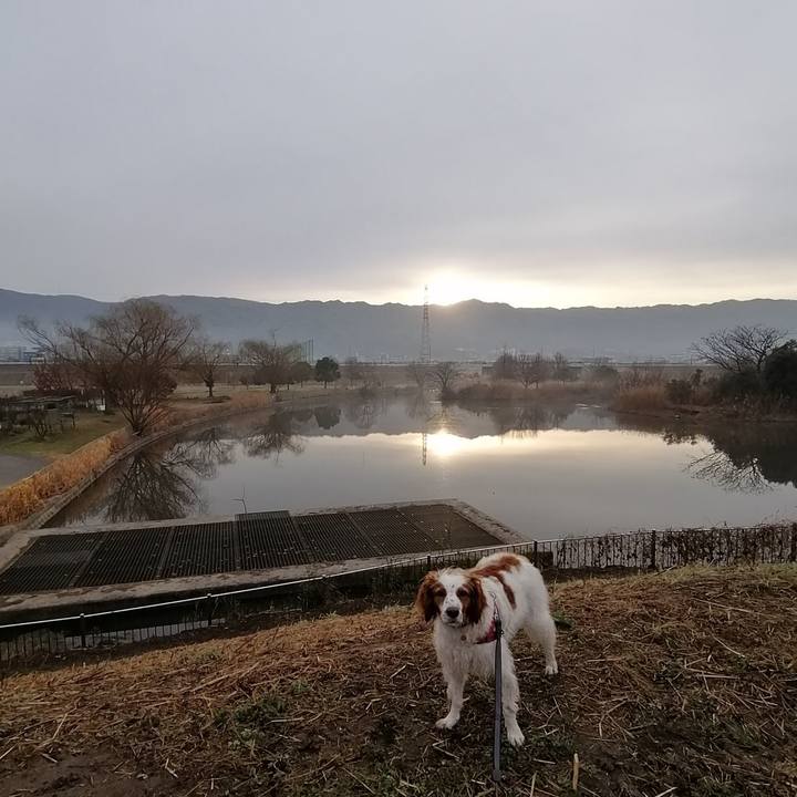 A7202831 b65a 4b2e 91ae 5d24a3001168 1581640790736