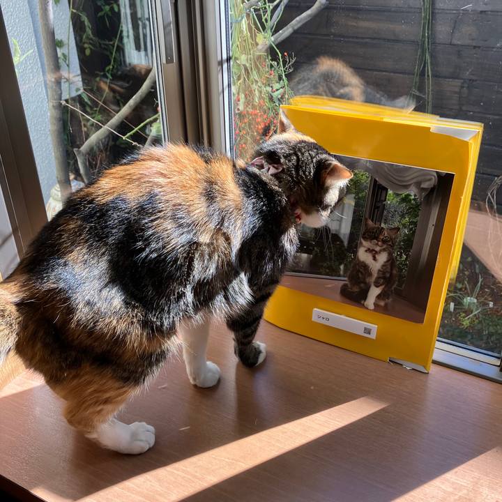 A7203922 8c94 43a6 89f7 f26e6aaf7b23 1768010864872