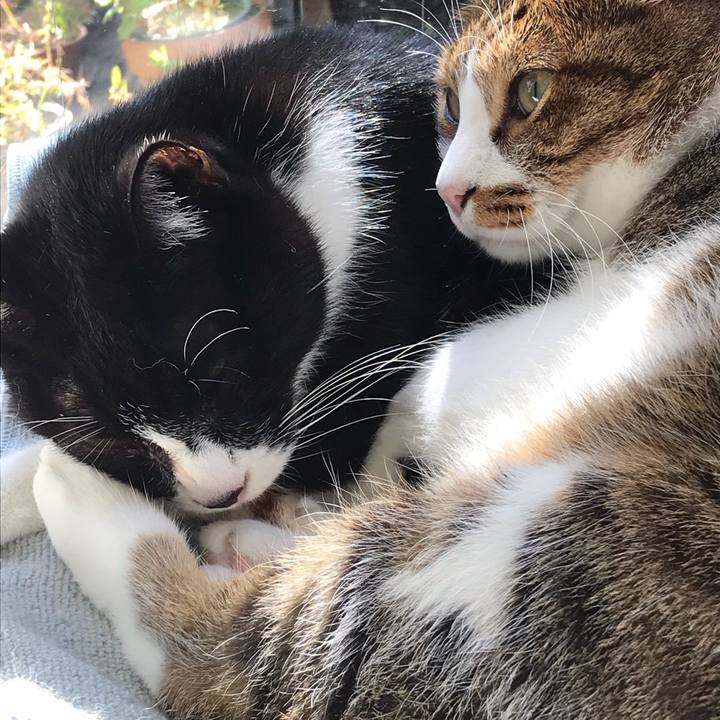 A720510e 3249 4223 be27 4af639a39cf8 1574042902553