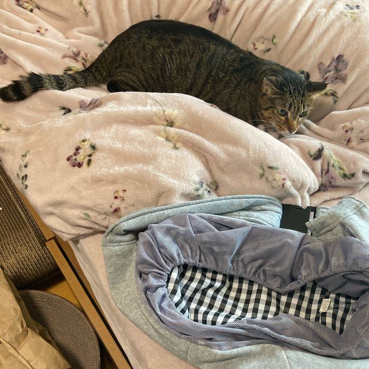 A72051df bb1d 4126 bef8 2217913326f2 1707967982124