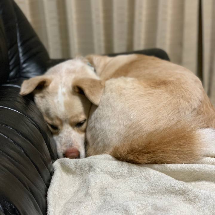 A7205bd6 11e6 4abf 932c d78b1ae375a3 1555248423434