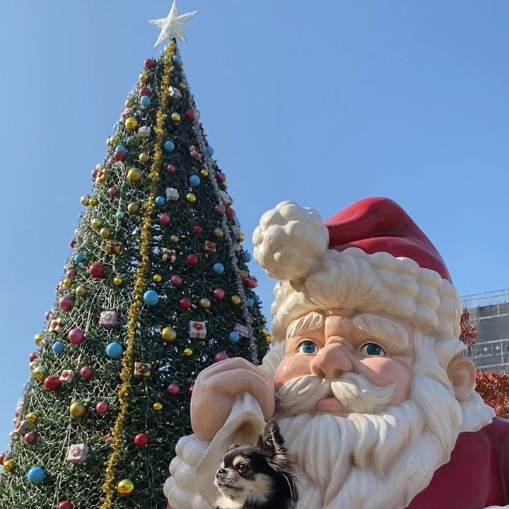 A7205fe3 968f 4fe7 b924 660a0536707b 1605437950546