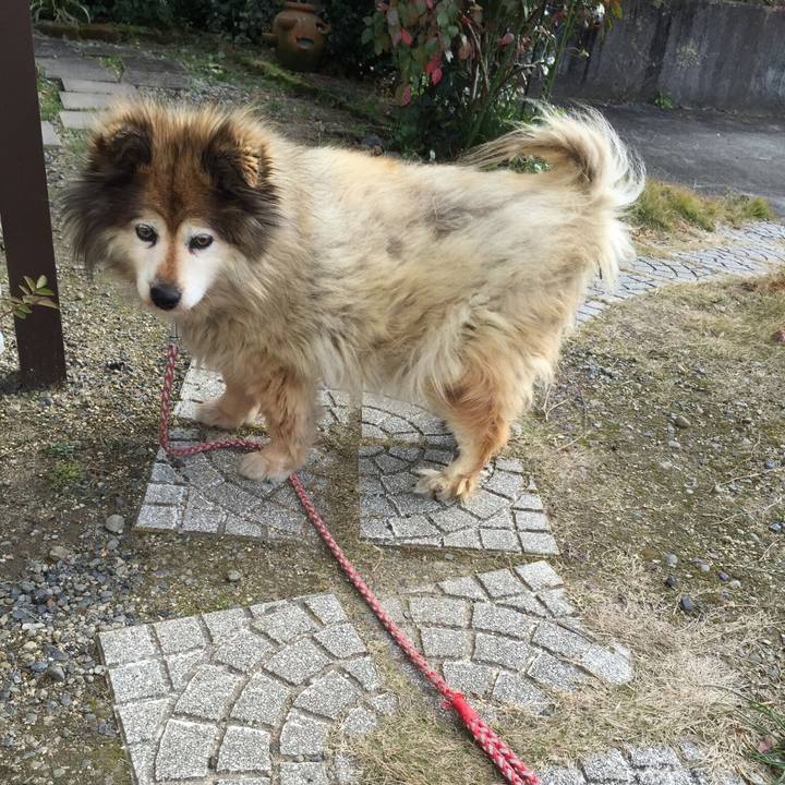 A7207996 2c2c 4542 a549 2f04adae8d2a 1633603819441