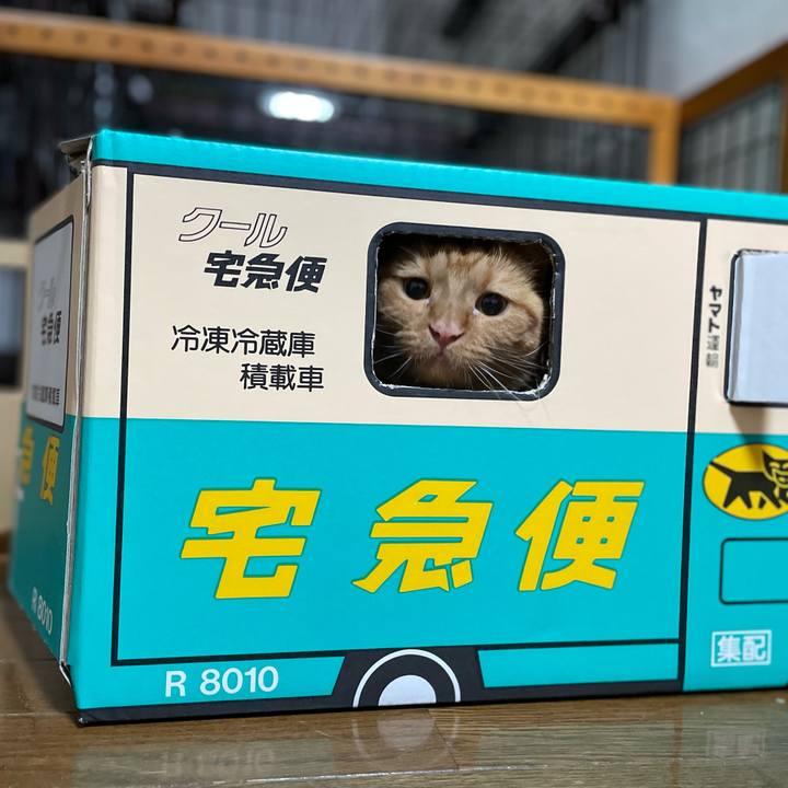 A720d2ef a55b 4866 a2f9 349df1da33f5 1626182814046