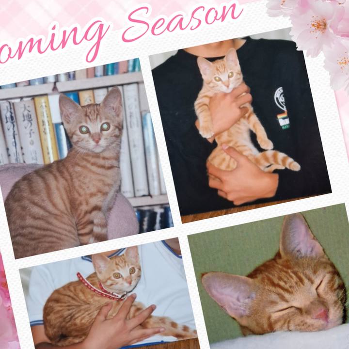 A72126c2 2b46 4553 9257 c08ff4c5f51a 1745904847536