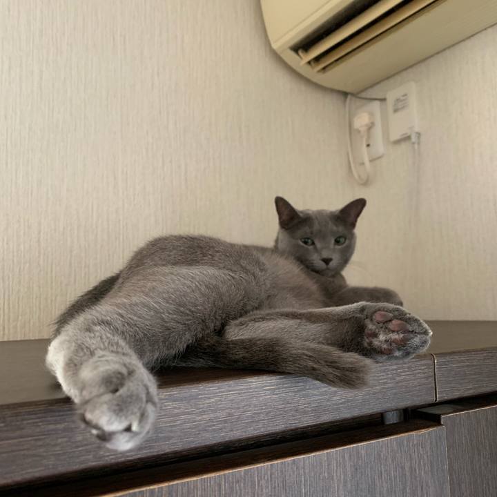 A7214c1c 1b21 4a33 b54b 11b262a16ee6 1642201514939