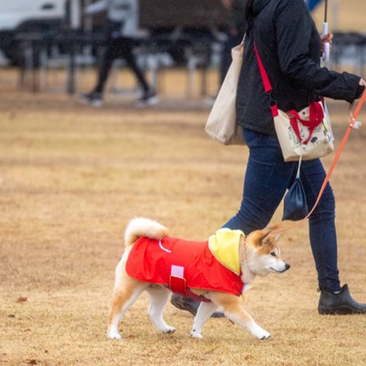 A72152b2 61b3 4a5a b639 f73543a4b0a5 1641855471034