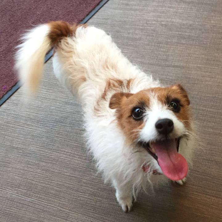 A7219b69 acaa 4eec b313 ecb5f194deae 1631443870506