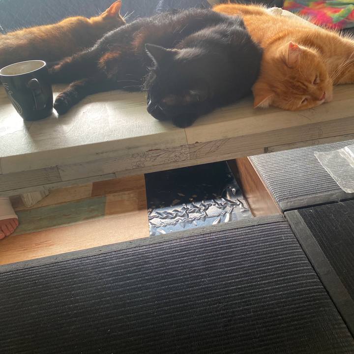 A721bdae b016 41d1 940c 2ac964ddc5e4 1598057420741