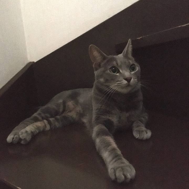 A721c8e2 95c0 4812 a130 b99a27537a9a 1597400979189