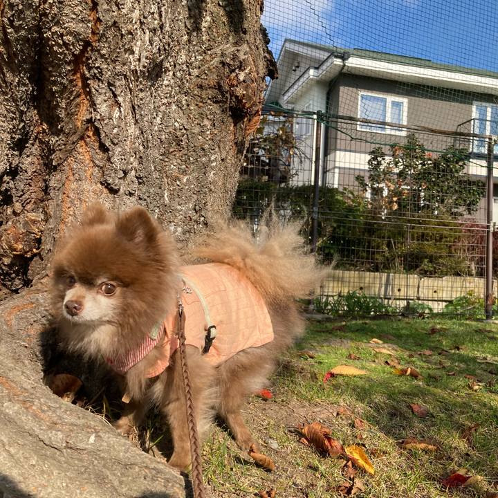 A72211f7 a630 4739 b022 c61645101b32 1667618865458