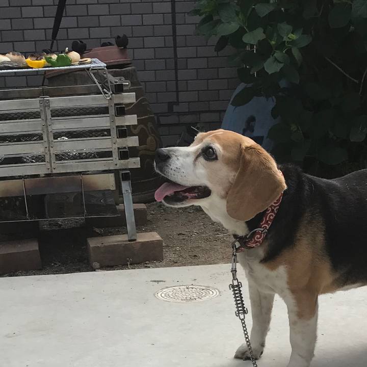 A722256a 7633 4293 9342 285ad742615e 1525080879080