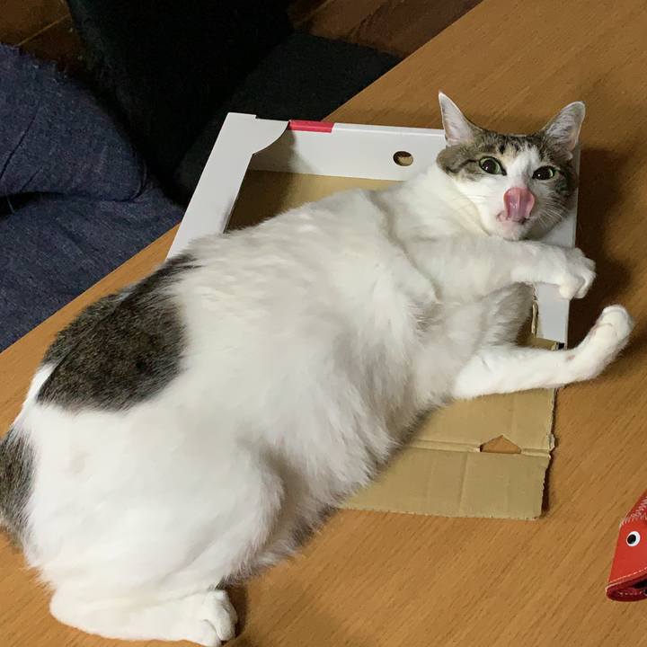 A72228a0 34a2 4bd3 889d 4a634496b51c 1611841301052