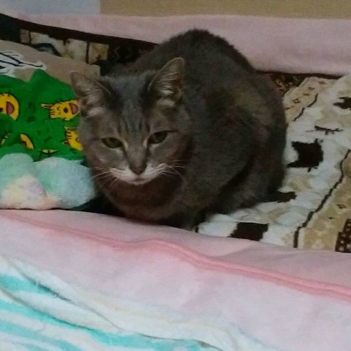 A7222c8d 8335 45ed 8c4a aa92a4491c72 1582301845722