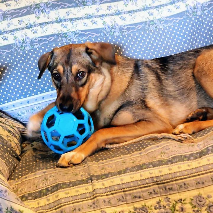 A7223139 af7a 4fd0 a7be 3a7c2b67f32c 1700271731794