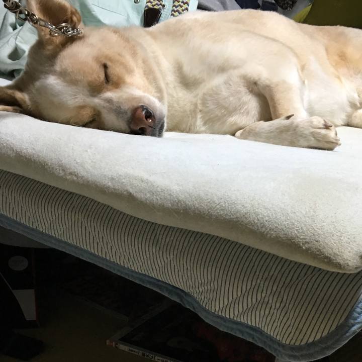 A7223caf 4766 42a4 b531 e3c070aa5ff9 1508252999983