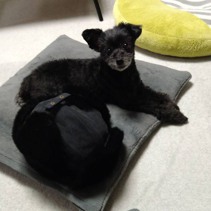 A72250fe 6355 4e58 8886 82e56b289cae 1646741505718