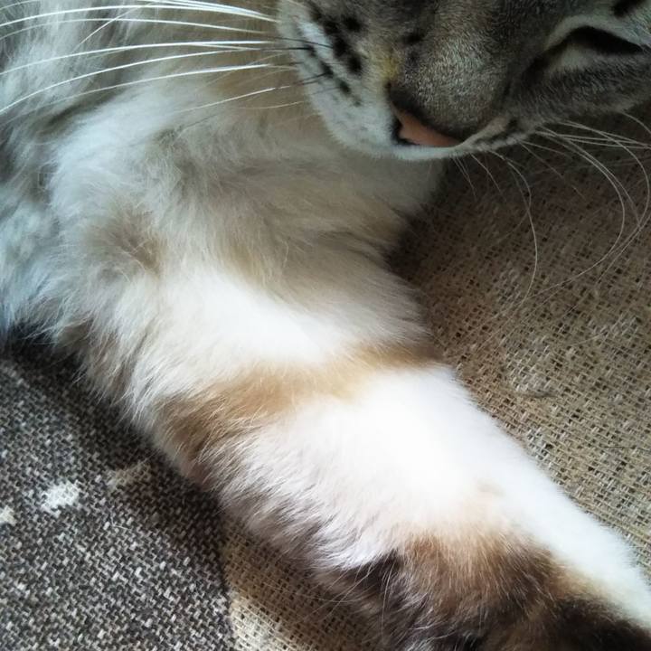 A72299d1 26e1 42a3 a280 5831bb18a6da 1577597926562