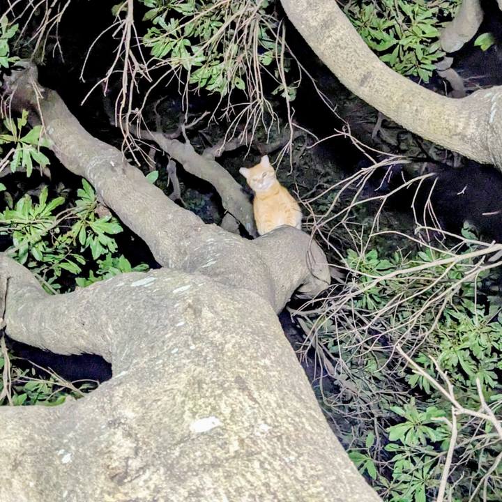 A722aff0 9889 474d 8d15 3c46d7485fff 1758454768417